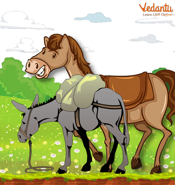The donkey carrying all the clothes