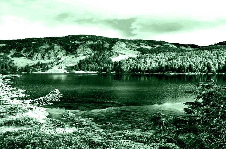 Mowich Lake with beauty at its peak, during the fall season.