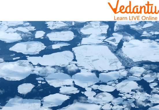 The Arctic Ocean