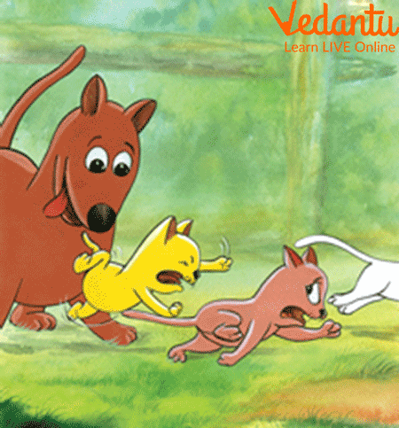 The Dog is chasing the Three Kittens